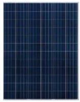 ECO 72cells-Poly 315H-340H