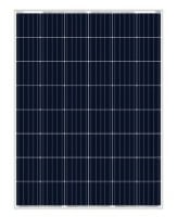 YS 210-220SP/Poly Single Glass 48 Series