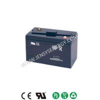 6V Gel Battery